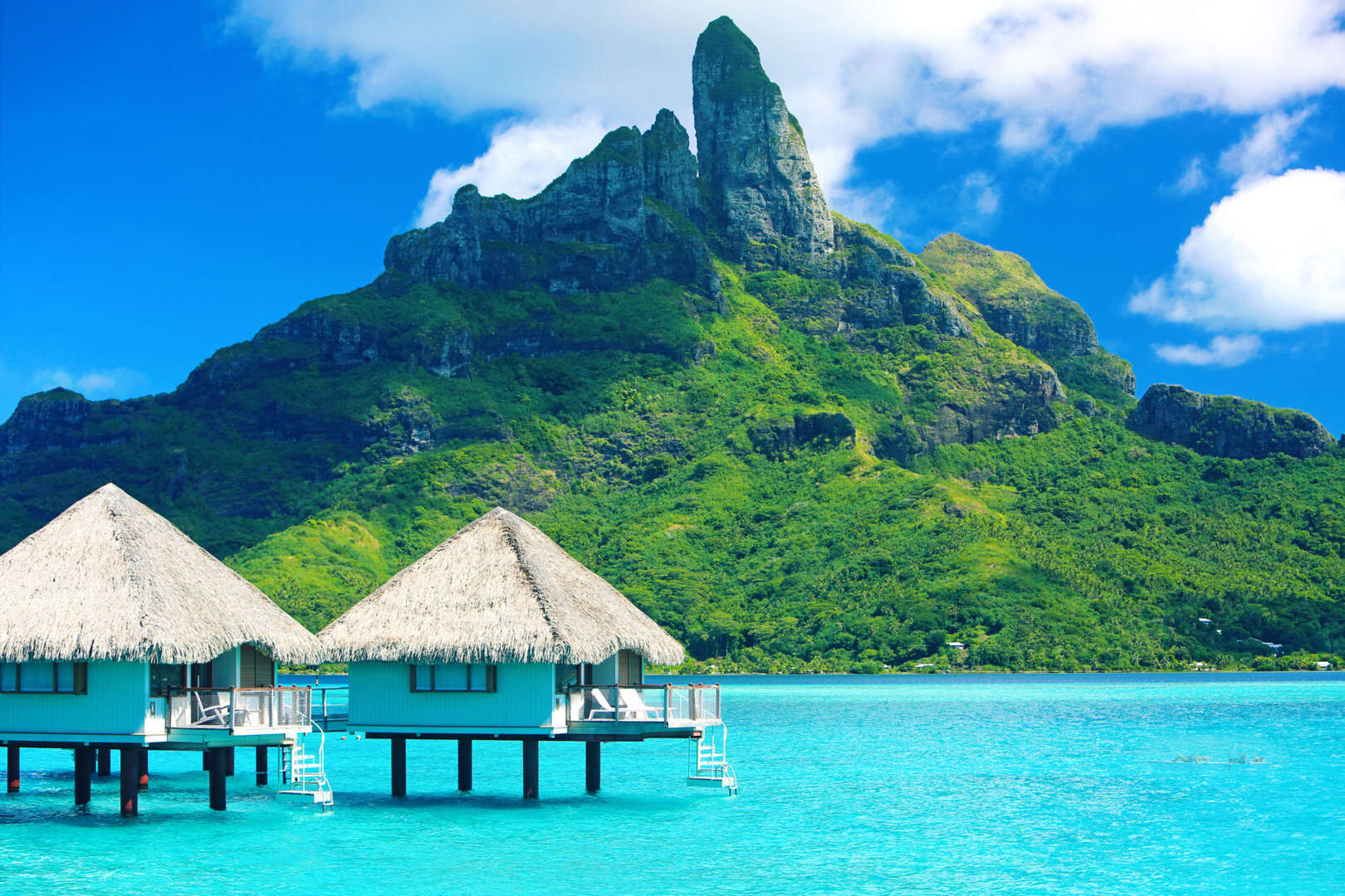BORA bORA.jpg